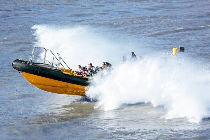 PRIVATE HIRE SPEEDBOAT 'ULTIMATE TOWER RIB BLAST' FROM TOWER PIER - 40 Minutes - Reading the skyline fast: Tower Bridge to the Thames Barrier