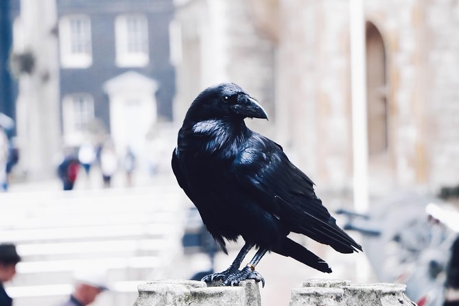 Private Tour of The Tower of London - Who should book this Tower private tour
