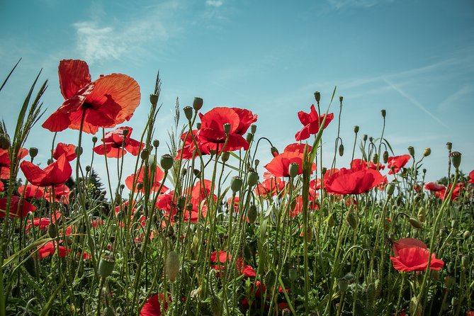 Private Tour, World War 2 London, including entry to Churchill War Rooms - Quick ways to get more out of the tour