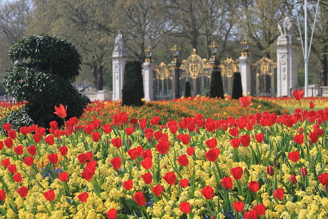 Private Walking tour London, Buckingham Palace to Big Ben and much more - Buckingham Palace: watch for the guard change, but don’t panic