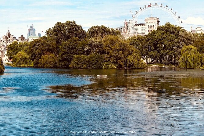 Royal London: Private Half-Day Tour with Horse Guards Parade - Buckingham Palace from the outside: royal ceremony meets real city life