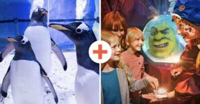 SEA LIFE London & DreamWorks Shrek's Adventure: Combo Ticket - SEA LIFE London: 3 floors, 65+ displays, and 40+ sharks