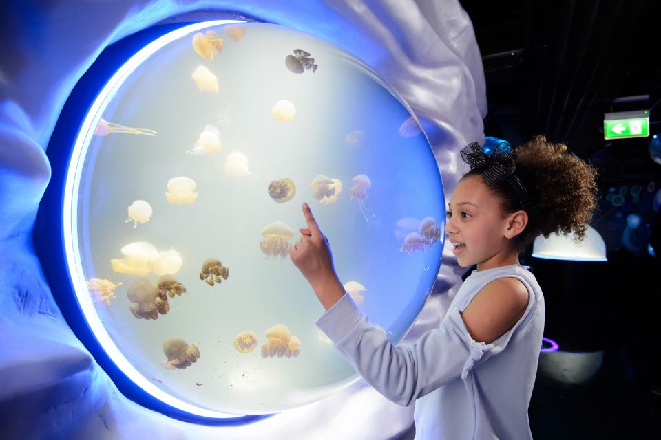 SEA LIFE London & DreamWorks Shrek's Adventure: Combo Ticket - Don’t rush SEA LIFE: use the zones like a route