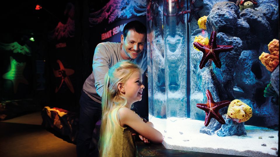SEA LIFE London & DreamWorks Shrek's Adventure: Combo Ticket - Who this combo fits best (and who should think twice)