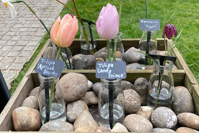 Secret Gardens of London Private Tour - Chelsea Physic Garden: Medicinal Plants and a Proper High Tea Break