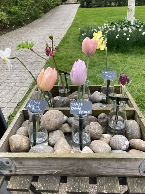 Secret Gardens of London Private Tour - How to match this tour to your travel style