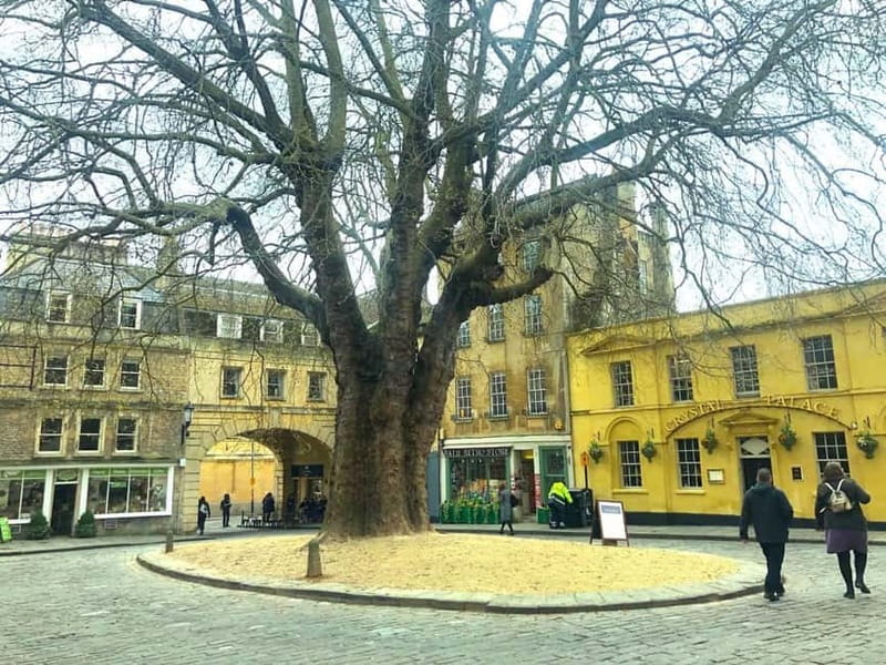Stonehenge, Bath, Windsor and Roman Baths London Day Tours - The Roman Baths: why the included ticket is the smart part
