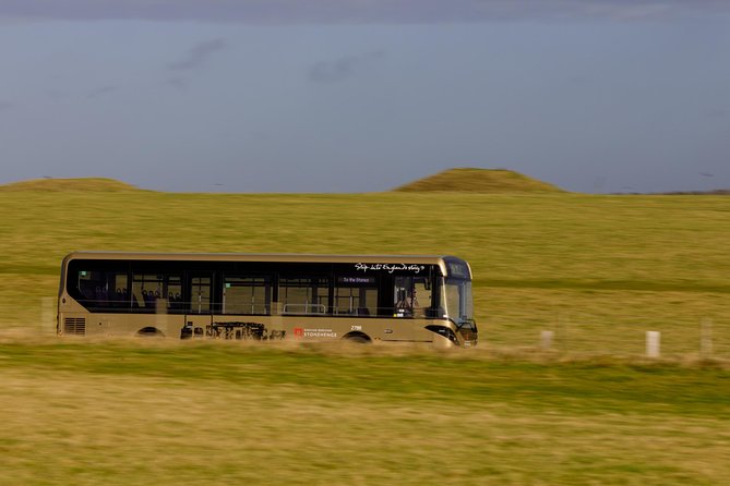 Stonehenge Shuttle Bus from London with Optional Fish & Chips - Weather, timing, and small mistakes to avoid