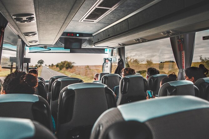Stonehenge Special Access Guided Morning Tour from London - Transit, Comfort, and Group Size That Keeps the Day Manageable