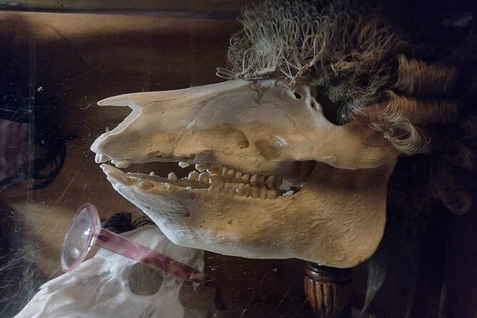 The Haunted Pubs of Old London: Small Group Tour - Old Bailey, Newgate’s Black Dog, and the Viaduct Tavern