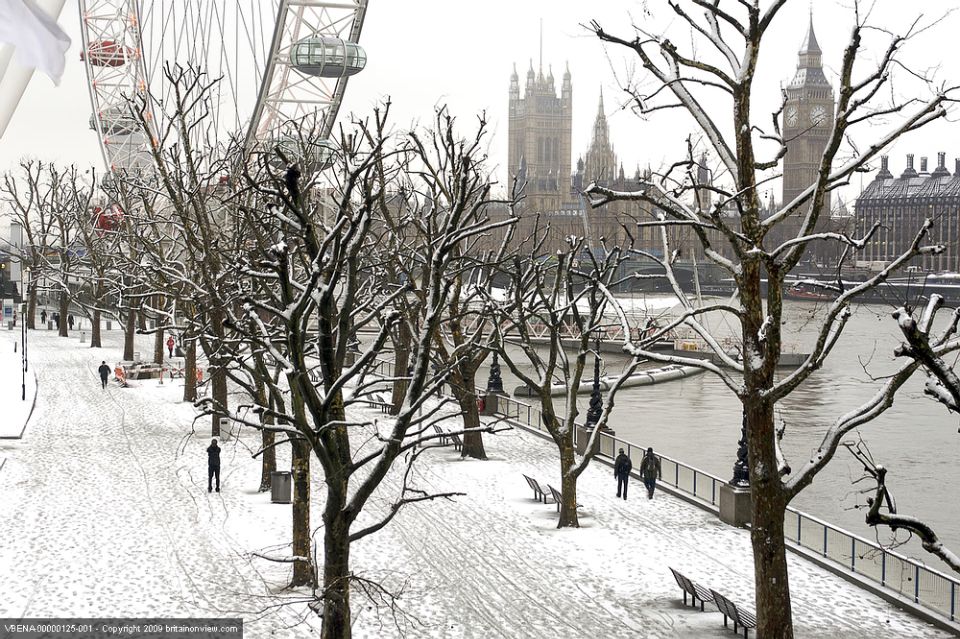 Tour of London and Christmas Day Lunch Cruise - Timing Reality: Photo Stops, Wait Times, and Holiday Crowd Energy