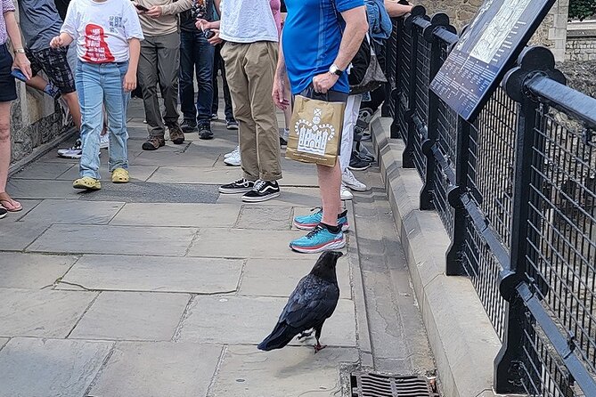 Tower of London: Guided Tour with Thames River Cruise - Meeting point: how not to miss your start