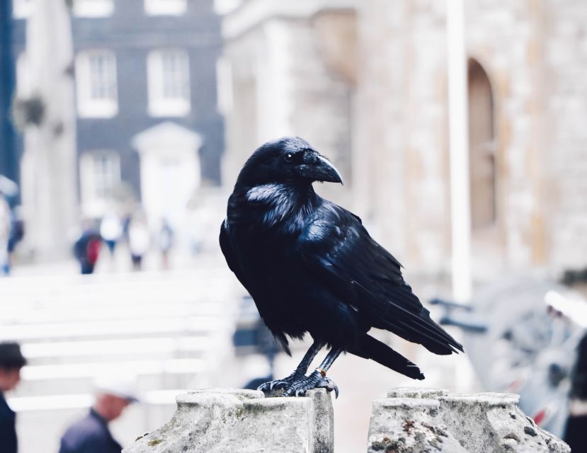 Tower of London Private Tour - Price and Value: Is $337 Per Person Worth It?
