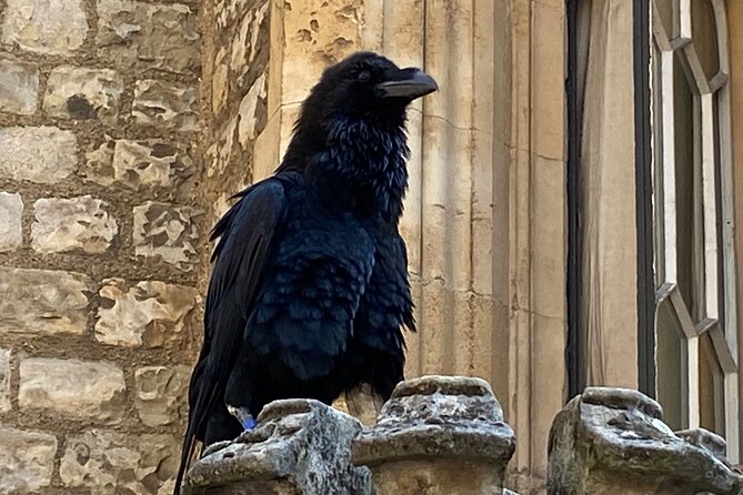 Tower of London & Westminster Abbey VIP Tour with expert guide - Price and value: what you’re really paying for